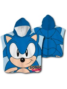 Sonic The Hedgehog...