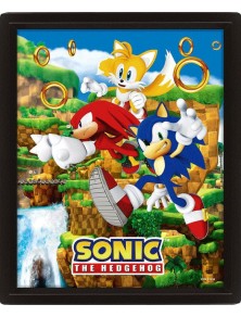 Sonic The Hedgehog 3d Lenticular Poster Catching Anelli 26 X 20 Cm Pyramid International