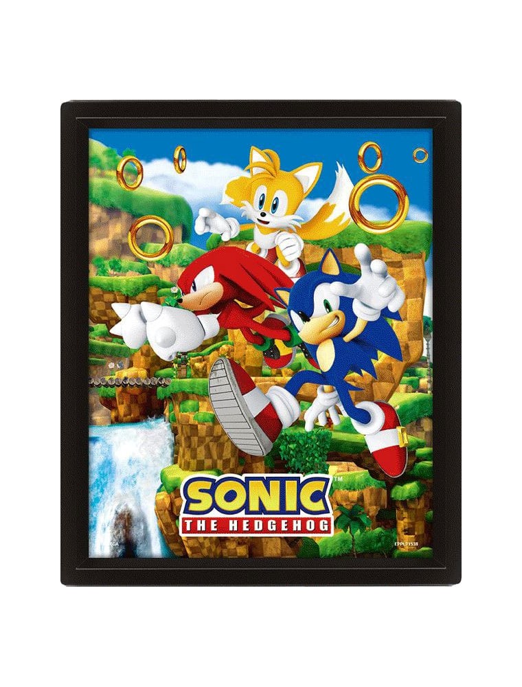 Sonic The Hedgehog 3d Lenticular Poster Catching Anelli 26 X 20 Cm Pyramid International