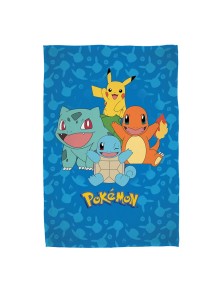 Pokemon Fleece Blanket...