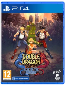 DOUBLE DRAGON GAIDEN: RISE...