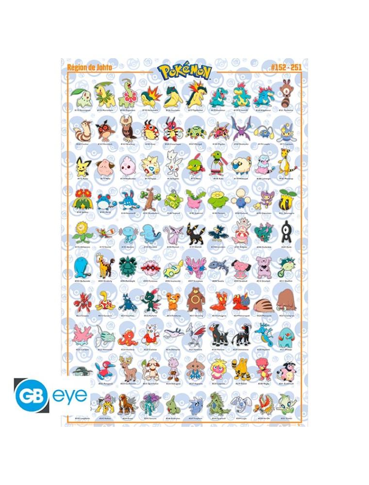 Pokemon - Poster Maxi 91.5x61 - Johto French