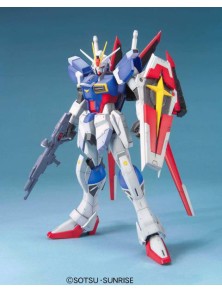 Gundam MASTER GRADE MG...