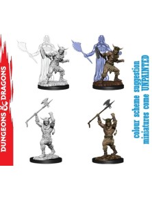 Wizkids D&d Nolzur Mum...