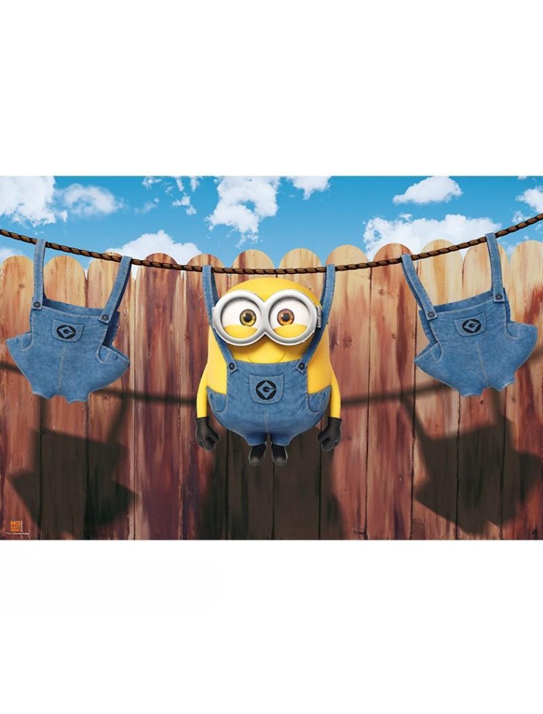 Minions - Poster "laundry" (91.5x61)