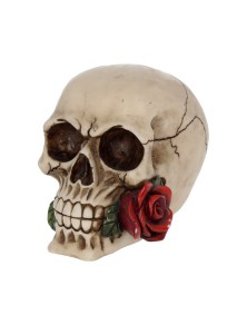 SKULL GOTHIC ROSE FROM THE...