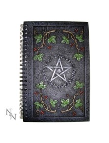 Agenda Resin Spiral Cover Wiccan Penta Agenda Nemesis Now