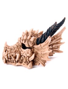 Dragon Skull money box...