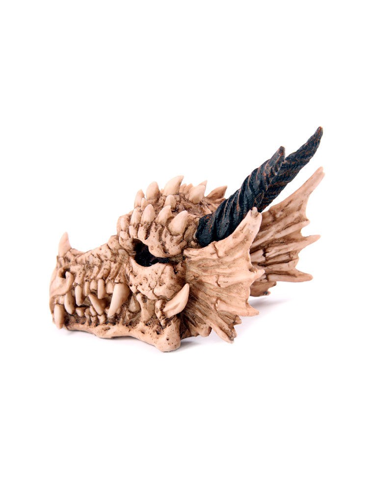 Dragon Skull money box Puckator