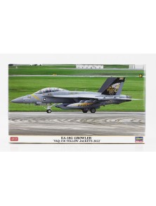 BOEING - EA-18G GROWLER VAQ-138 YELLOW JACKETS MILITARY AIRPLANE 2022 - /