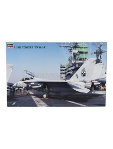 GRUMMAN - F-14D TOMCAT CVW-14 MILITARY AIRPLANE 1974 - /