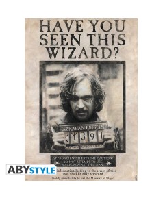 Harry Potter Poster Wanted...