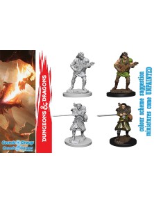 Wizkids D&d Nolzur Mum Human Male Bard Gioco Di Ruolo