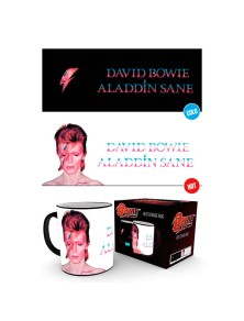 David Bowie Aladdin Sane Heat Change Tazza Gb Eye