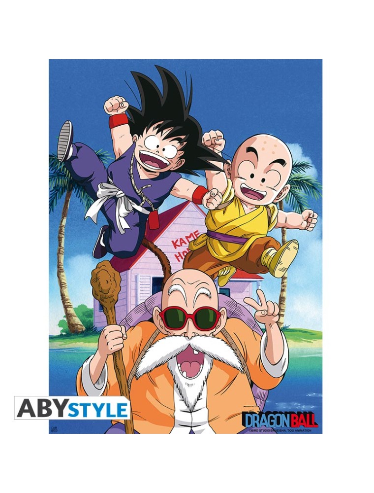 Dragon Ball - Poster "db/ Kame Team" (52x38)