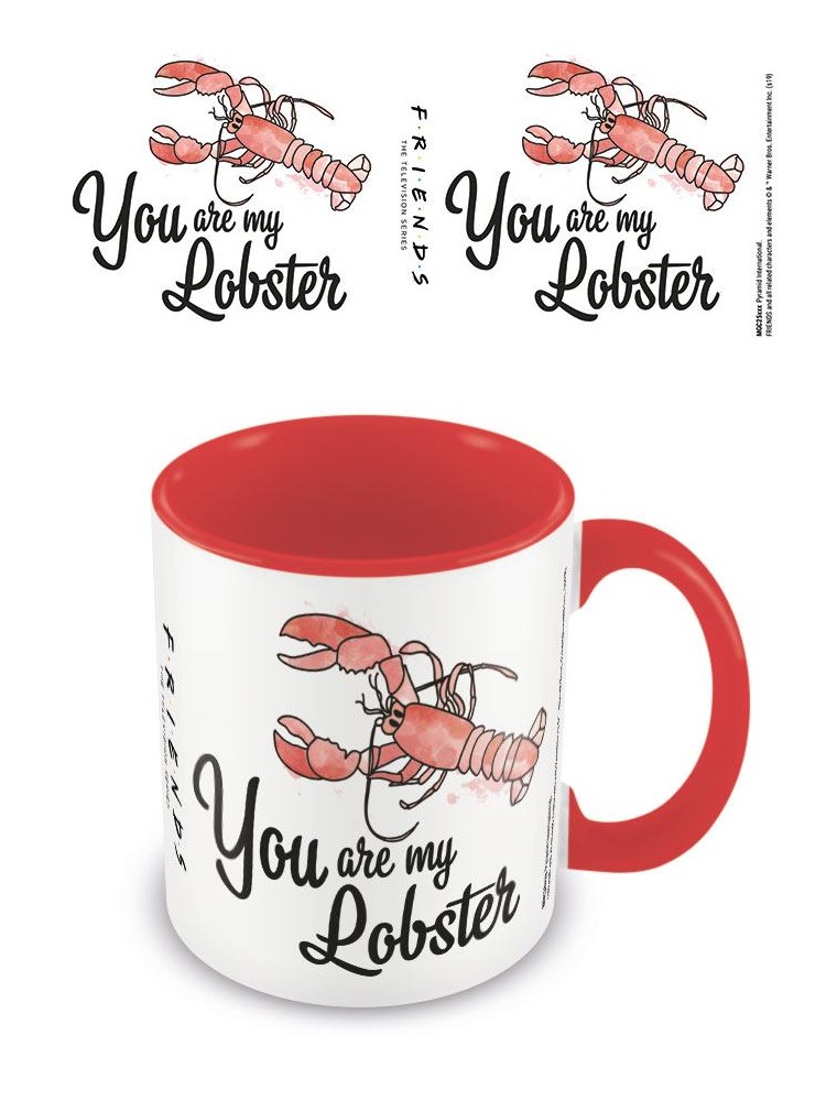 Friends Coloured Inner Tazza You Are My Lobster Pyramid International