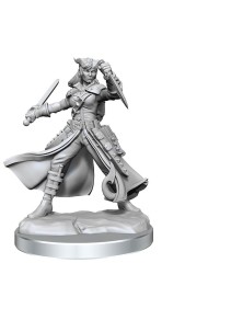 Dungeons & Dragons Frameworks Miniature Model Kit Tiefling Rogue Female Wizkids