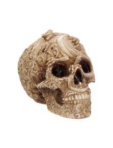 SKULL ORNAMENT CRANIAL...