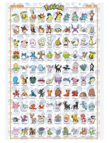 Pokemon Poster Maxi Regione...