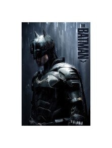 DC Comics Poster Pack...