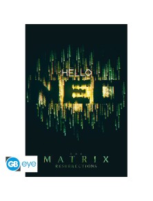 THE MATRIX - Poster Maxi...