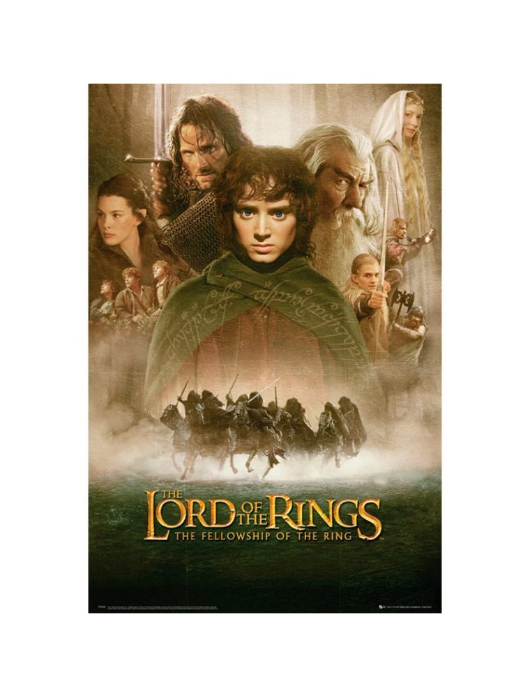 Il Signore Degli Anelli - Poster Maxi 91.5x61 - Fellowship Of The Ring