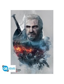 THE WITCHER - Poster Maxi...