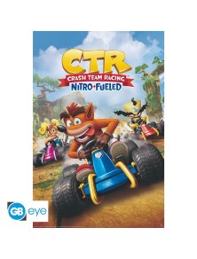 CRASH TEAM RACING - Poster Maxi 91.5x61 - Cover