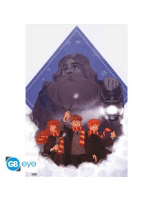 HARRY POTTER - Poster Maxi...