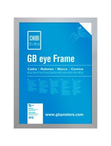 GBEYE - MDF Silver Frame -...