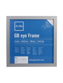 GBEYE - MDF Silver Frame -...