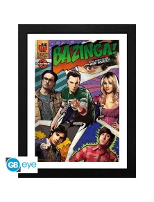 THE BIG BANG THEORY- Framed...