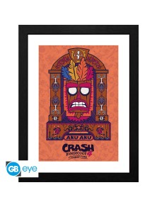 CRASH BANDICOOT- Framed...