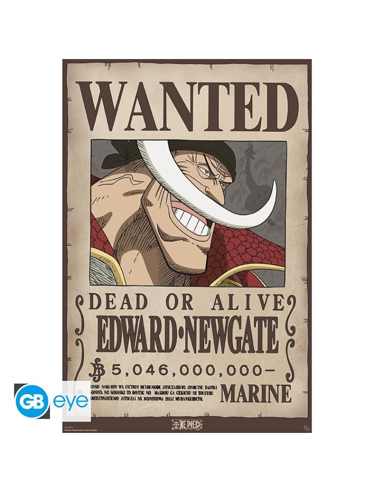 ONE PIECE - Poster Maxi 91.5x61 - Wanted Whitebeard