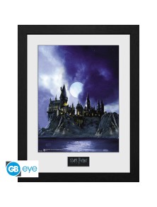 HARRY POTTER - Framed print...