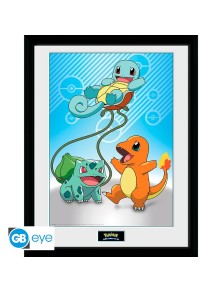 POKEMON - Framed print...