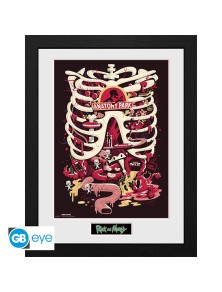 Rick E Morty - Framed Print "anatomy Park" (30x40)