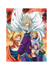 Dragon Ball Z Heroes Vs Cell Poster Di Vetro Sd Toys