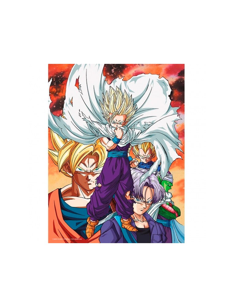 Dragon Ball Z Heroes Vs Cell Poster Di Vetro Sd Toys