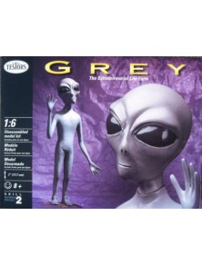 Academy - Grey alieno scala 1/6