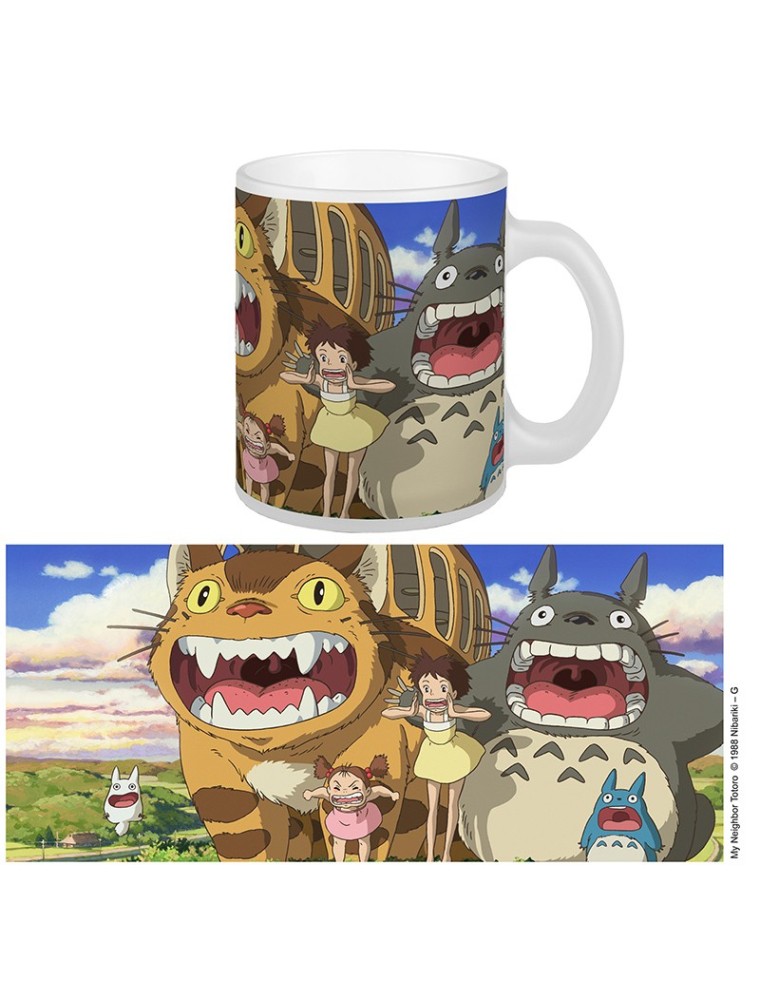 Studio Ghibli Totoro Nekobustoazza