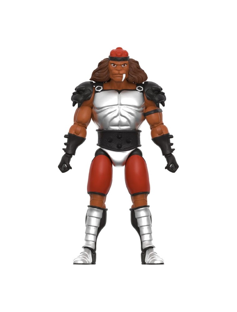 Thundercats Ultimates Action Figura Wave 9 Grune The Destroyer (toy Recolor) 20 Cm Super7