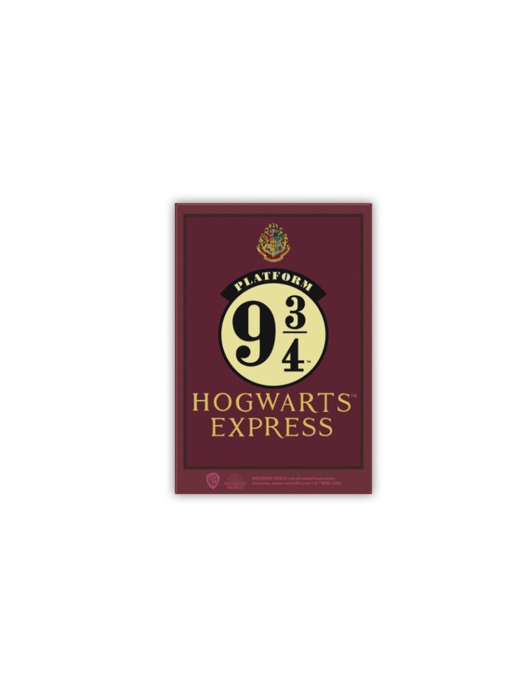 Harry Potter - Magnet - Deco - 9 3/4