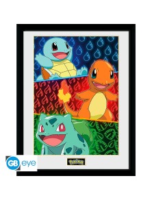 POKEMON - Framed print...