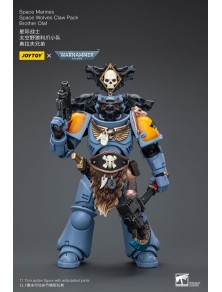 Warhammer 40k Action Figura 1/18 Space Marines Space Wolves Claw Pack Brother Olaf 12 Cm Joy Toy (cn)