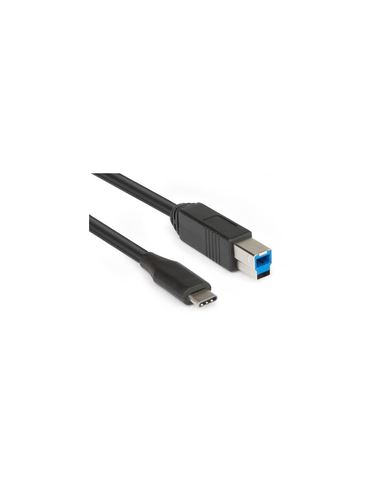 Cavo da USB 3.1 Type-C a USB 3.0 Tipo B Maschio 1 Metro