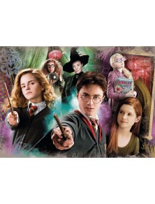 Harry Potter Puzzle 104...