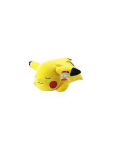 Pokemon: Sleeping Pikachu...