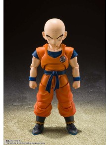 DRAGON BALL Z KRILLIN EARTH...