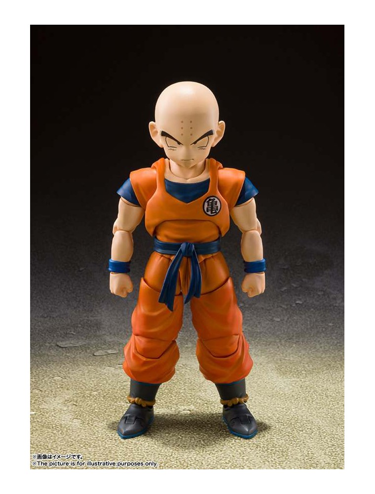 DRAGON BALL Z KRILLIN EARTH STRONG MAN